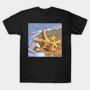 Starfish and Sea Shell T-Shirt